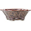 Mokko bruine multicolor bonsai pot van Heian Kosen - 170 x 160 x 57 mm