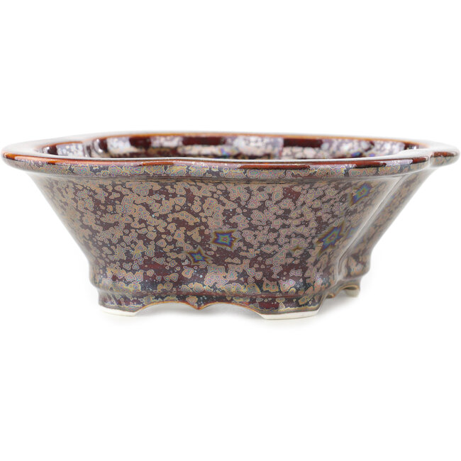 Mokko brown multicolor bonsai pot by Heian Kosen - 170 x 160 x 57 mm