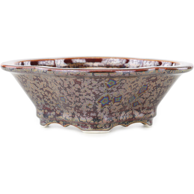 Mokko bruine multicolor bonsai pot van Heian Kosen - 170 x 160 x 57 mm