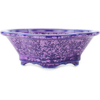 Heian Kosen 155 mm mokko blauwe en paarse bonsai pot van Heian Kosen, Kyoto, Japan