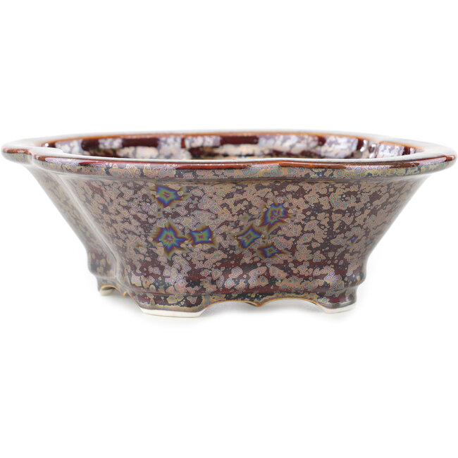 Maceta para bonsái multicolor marrón Mokko de Heian Kosen - 170 x 160 x 57 mm