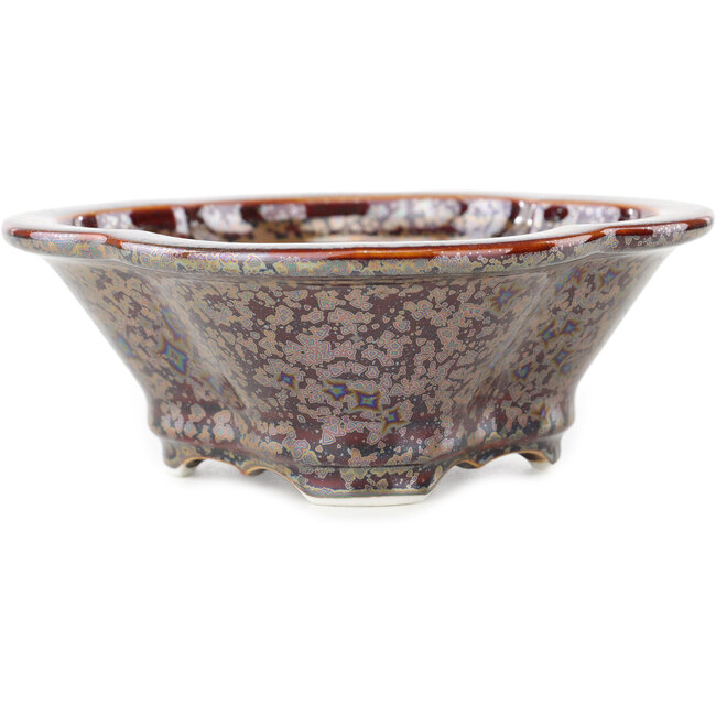 Maceta para bonsái multicolor marrón Mokko de Heian Kosen - 170 x 160 x 57 mm