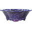 Pot à bonsaï bleu et violet Mokko de Heian Kosen - 170 x 160 x 57 mm