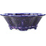 Maceta para bonsái azul y violeta Mokko de Heian Kosen - 170 x 160 x 57 mm