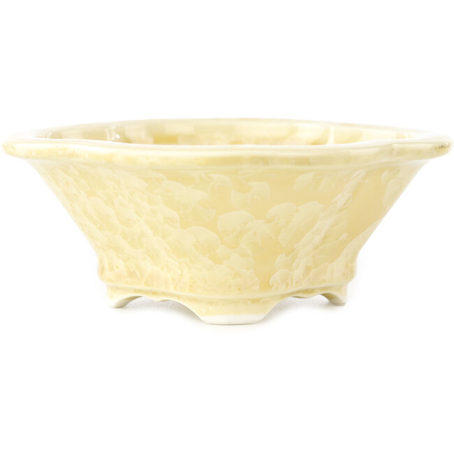 Maceta para bonsái beige Mokko de Heian Kosen - 155 x 137 x 55 mm