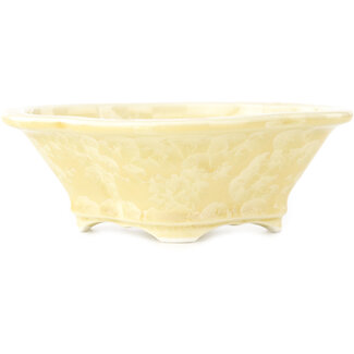 Heian Kosen 155 mm mokkobeige Bonsaischale von Heian Kosen, Kyoto, Japan