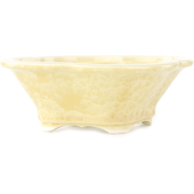 Pot à bonsaï beige Mokko de Heian Kosen - 155 x 137 x 55 mm