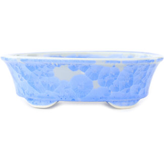 Heian Kosen 183 mm oval blue bonsai pot by Heian Kosen, Kyoto, Japan