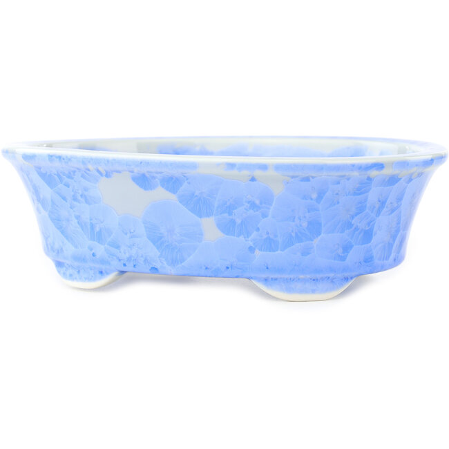 Maceta ovalada azul para bonsái de Heian Kosen - 183 x 147 x 53 mm