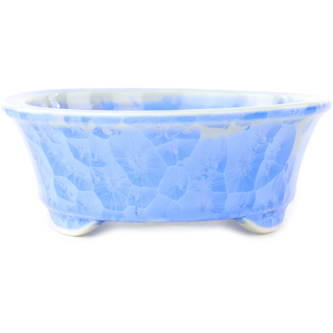 Ovale blauwe bonsai pot van Heian Kosen - 183 x 147 x 53 mm