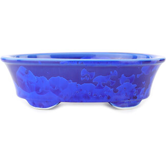 Heian Chikuzan Ovale donkerblauwe bonsaipot van 183 mm van Heian Kosen, Kyoto, Japan