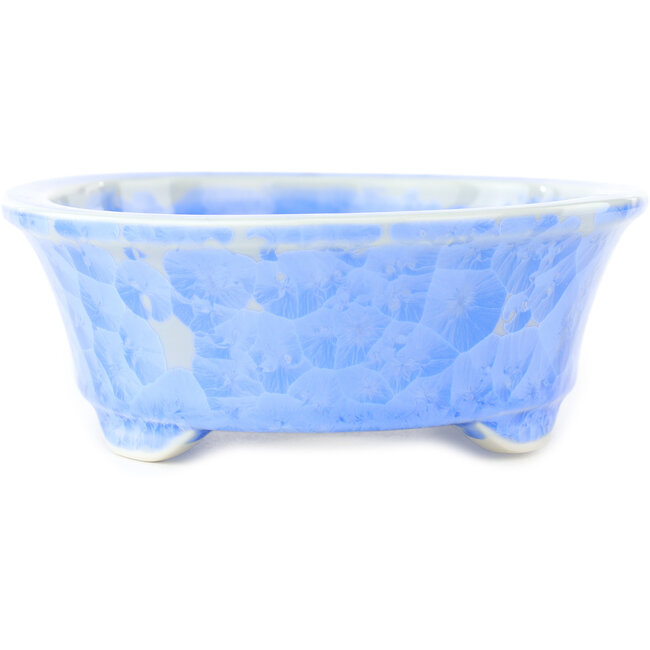 Maceta ovalada azul para bonsái de Heian Kosen - 183 x 147 x 53 mm