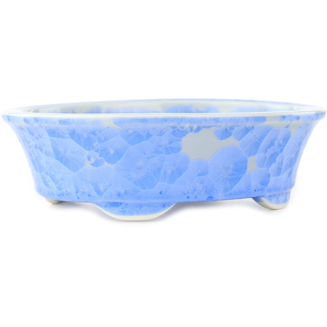 Vaso bonsai ovale blu di Heian Kosen - 183 x 147 x 53 mm