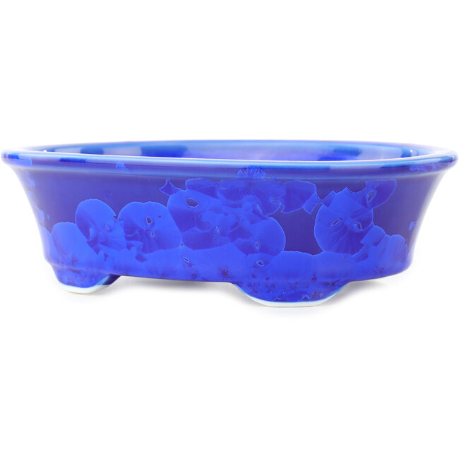 Ovaler dunkelblauer Bonsaitopf von Heian Kosen – 183 x 147 x 53 mm