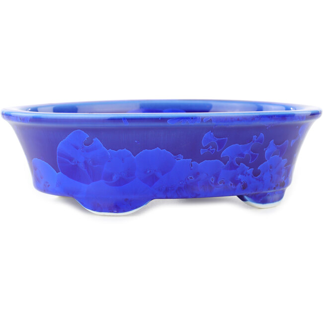 Oval dark blue bonsai pot by Heian Kosen - 183 x 147 x 53 mm