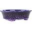 Maceta ovalada para bonsái de color azul y morado de Heian Kosen - 183 x 147 x 53 mm