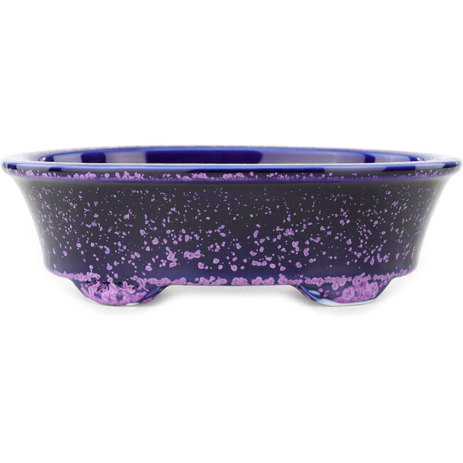 Ovale blauwe en paarse bonsaipot van Heian Kosen - 183 x 147 x 53 mm