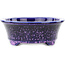 Maceta ovalada para bonsái de color azul y morado de Heian Kosen - 183 x 147 x 53 mm