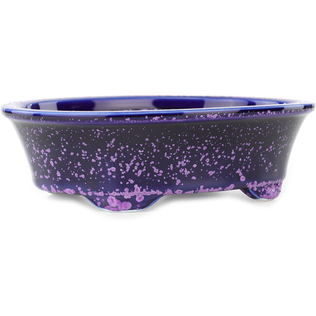 Pot à bonsaï ovale bleu et violet de Heian Kosen - 183 x 147 x 53 mm