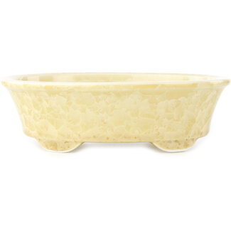 Heian Kosen 183 mm oval beige bonsai pot by Heian Kosen, Kyoto, Japan