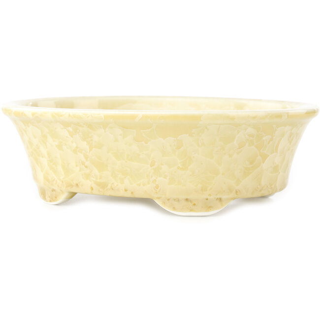 Oval beige bonsai pot by Heian Kosen - 183 x 147 x 53 mm