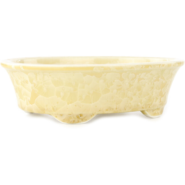 Pot à bonsaï ovale beige de Heian Kosen - 183 x 147 x 53 mm