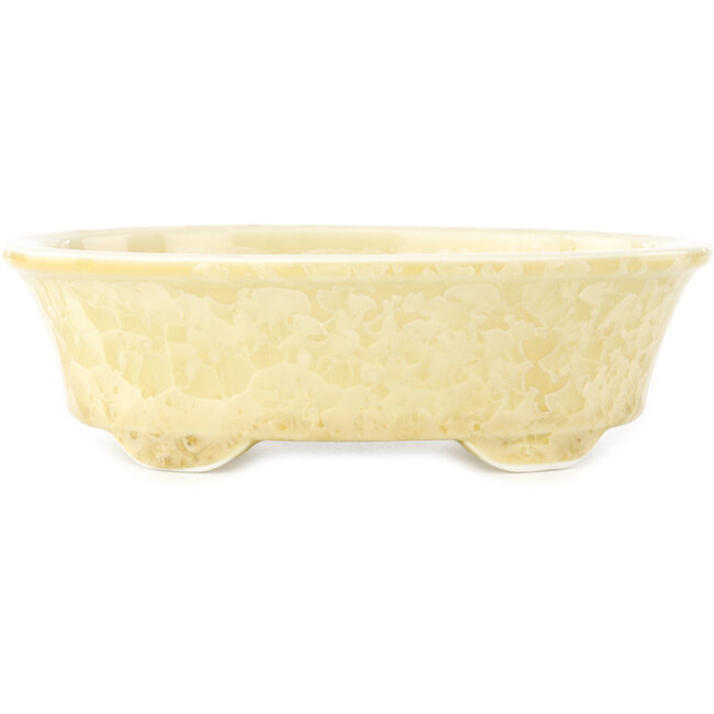 Maceta ovalada beige para bonsái de Heian Kosen - 183 x 147 x 53 mm