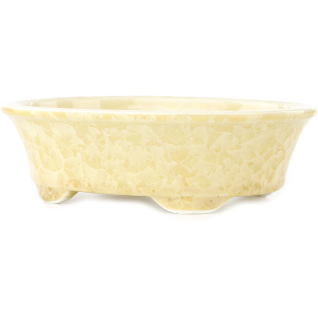 Maceta ovalada beige para bonsái de Heian Kosen - 183 x 147 x 53 mm