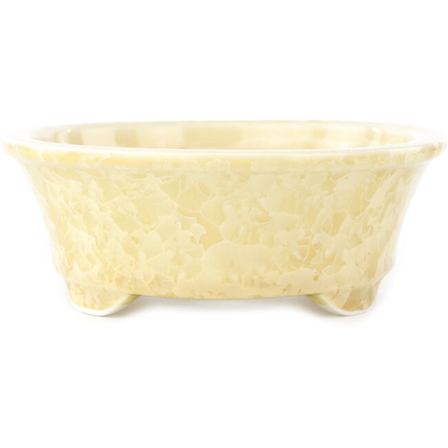 Ovale beige bonsai pot van Heian Kosen - 183 x 147 x 53 mm