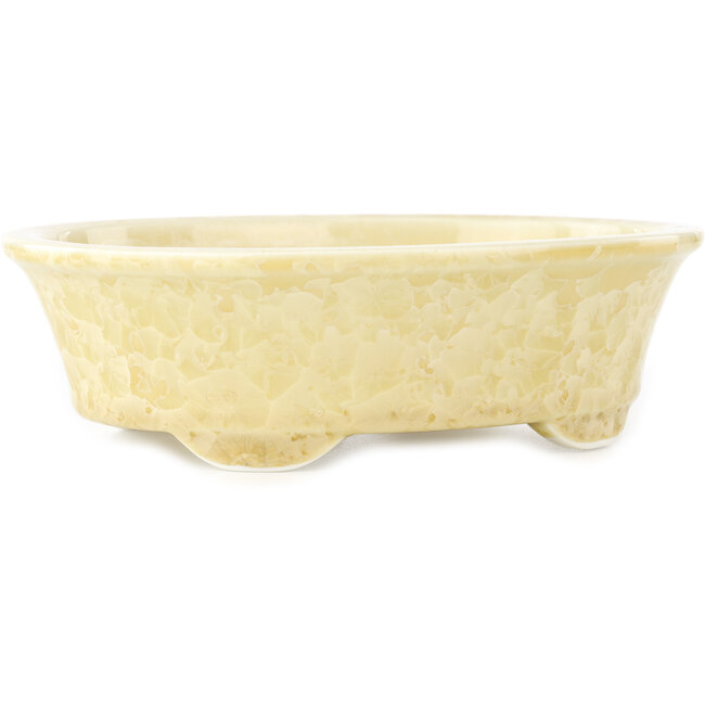 Vaso bonsai ovale beige di Heian Kosen - 183 x 147 x 53 mm