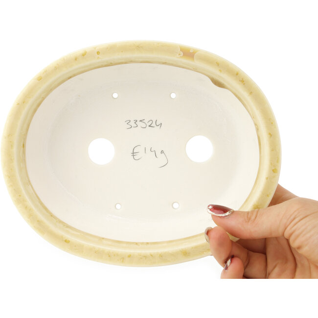 Maceta ovalada beige para bonsái de Heian Kosen - 183 x 147 x 53 mm