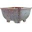 Square brown multicolor bonsai pot by Heian Kosen - 135 x 135 x 80 mm