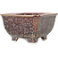 Square brown multicolor bonsai pot by Heian Kosen - 135 x 135 x 80 mm