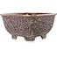 Vaso bonsai quadrato marrone multicolore di Heian Kosen - 135 x 135 x 80 mm