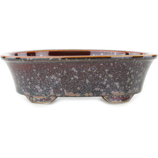 Heian Kosen 183 mm ovale bruin veelkleurige bonsaipot van Heian Kosen, Kyoto, Japan