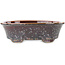 Vaso bonsai ovale marrone multicolore di Heian Kosen - 183 x 147 x 53 mm