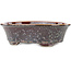 Vaso bonsai ovale marrone multicolore di Heian Kosen - 183 x 147 x 53 mm