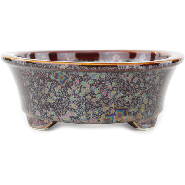 Ovale bruine veelkleurige bonsaipot van Heian Kosen - 183 x 147 x 53 mm