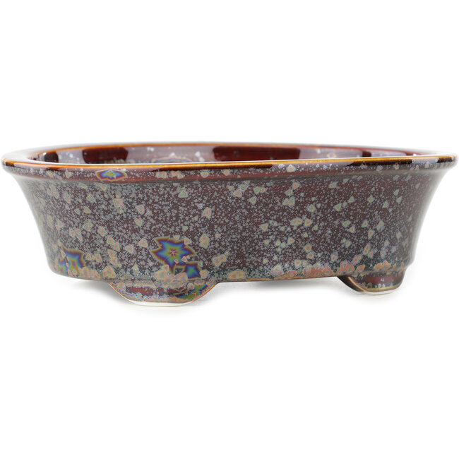 Ovale bruine veelkleurige bonsaipot van Heian Kosen - 183 x 147 x 53 mm