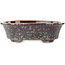 Vaso bonsai ovale marrone multicolore di Heian Kosen - 183 x 147 x 53 mm