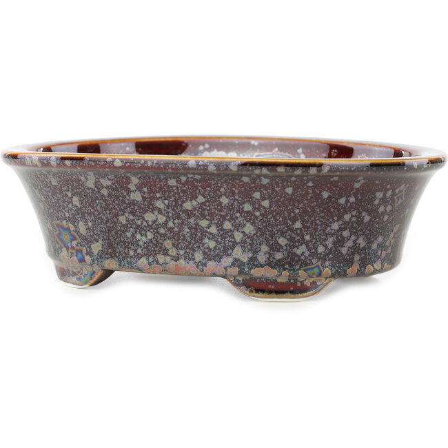 Vaso bonsai ovale marrone multicolore di Heian Kosen - 183 x 147 x 53 mm