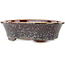 Maceta ovalada marrón multicolor para bonsái de Heian Kosen - 183 x 147 x 53 mm