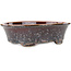 Vaso bonsai ovale marrone multicolore di Heian Kosen - 183 x 147 x 53 mm