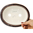 Maceta ovalada marrón multicolor para bonsái de Heian Kosen - 183 x 147 x 53 mm