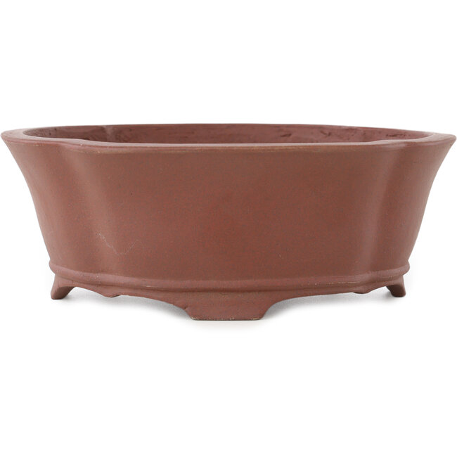 Pot à bonsaï non émaillé Mokko de Shibakatsu - 187 x 169 x 68 mm