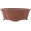 Maceta para bonsái sin esmaltar Mokko de Shibakatsu - 187 x 169 x 68 mm