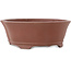 Maceta para bonsái sin esmaltar Mokko de Shibakatsu - 187 x 169 x 68 mm