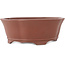 Maceta para bonsái sin esmaltar Mokko de Shibakatsu - 187 x 169 x 68 mm