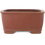 Pot à bonsaï rectangulaire non émaillé de Shibakatsu - 158 x 130 x 60 mm