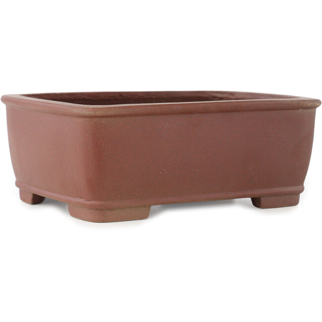 Pot à bonsaï rectangulaire non émaillé de Shibakatsu - 158 x 130 x 60 mm